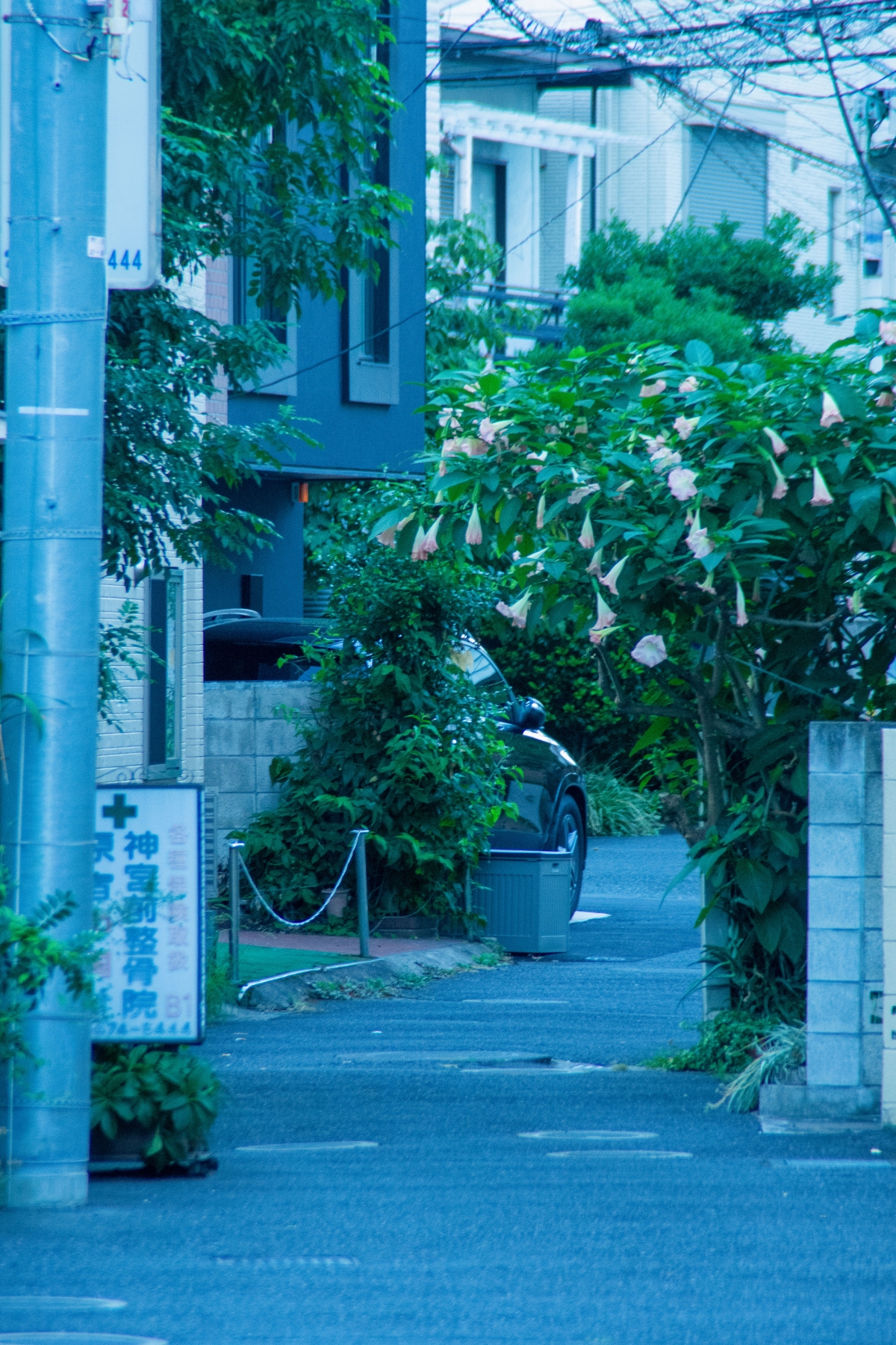 Hisui Apartment-image33