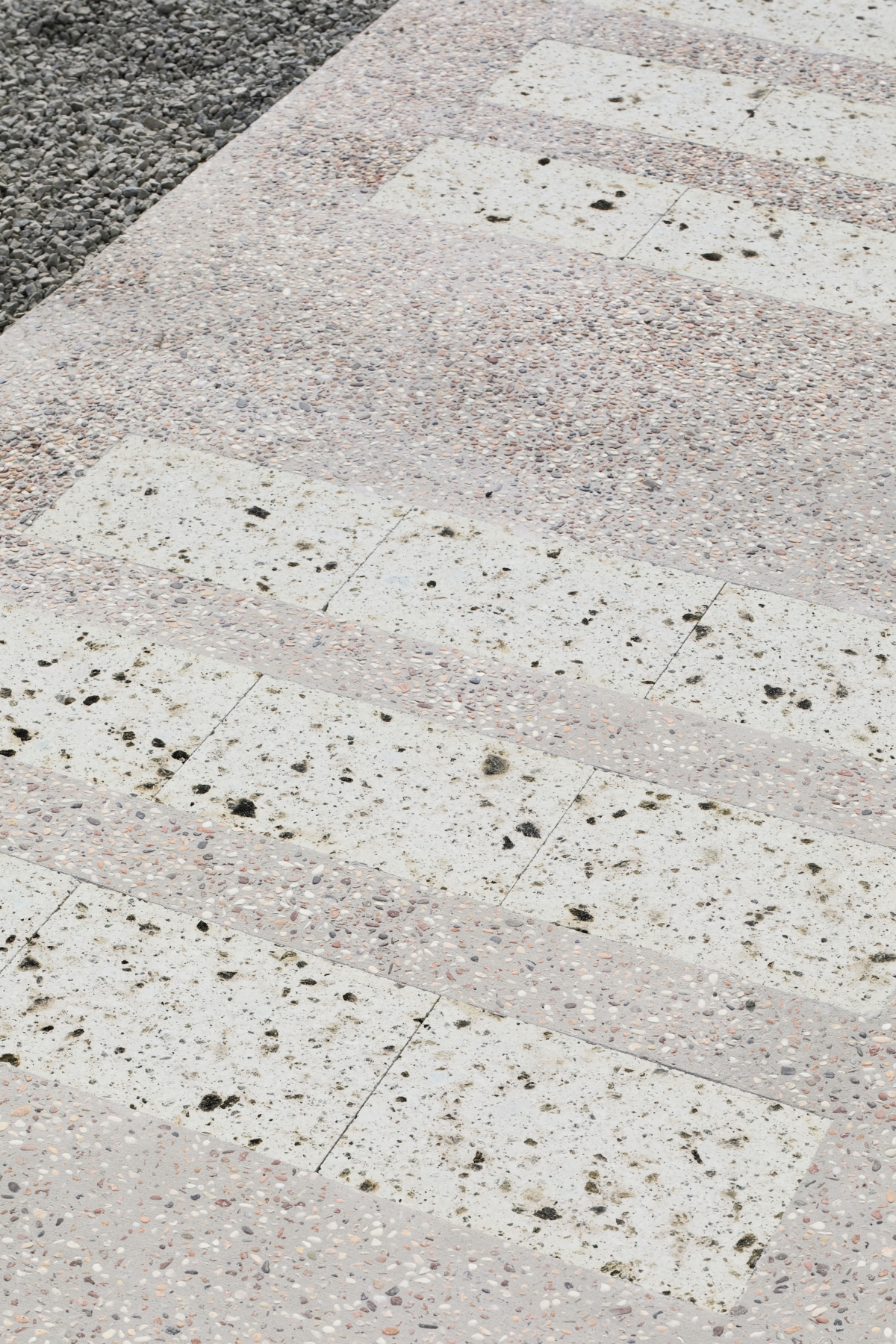 SANGA Fujinomiya-image9