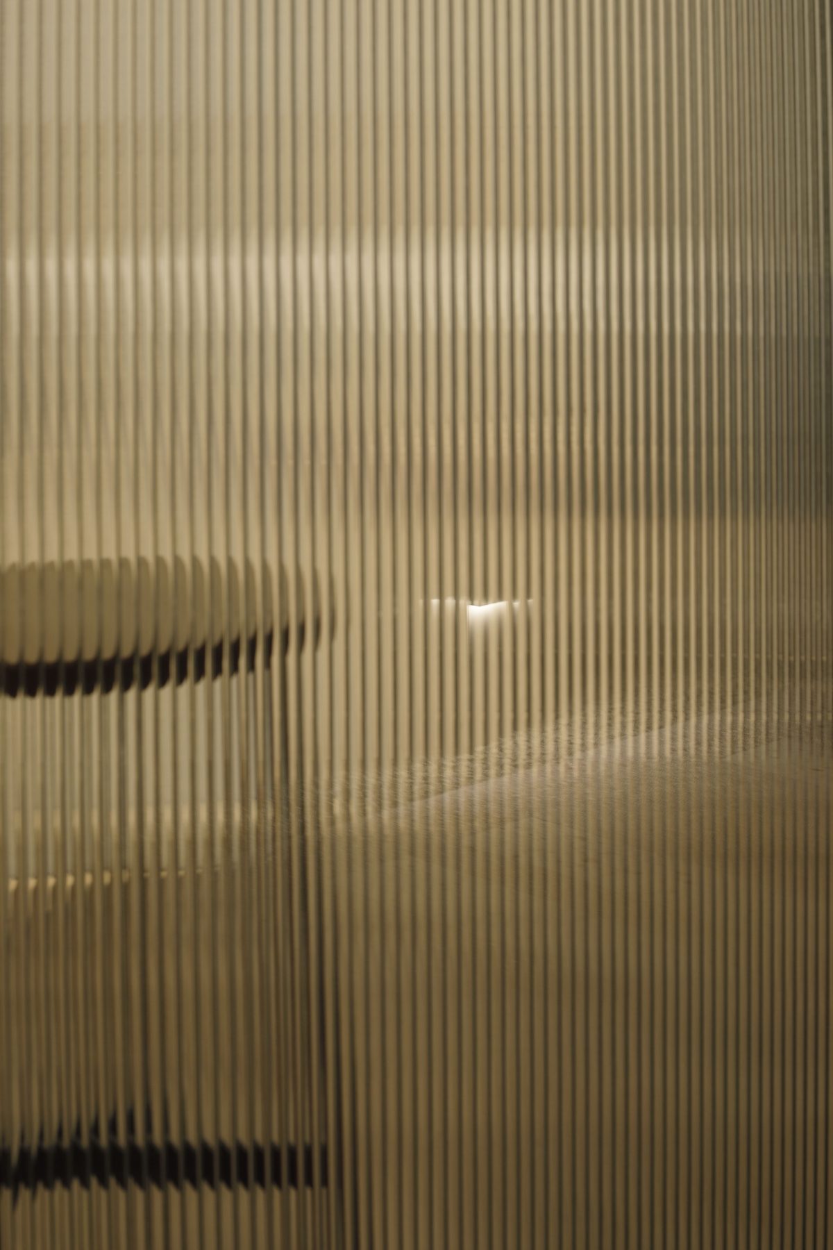 SANGA Fujinomiya-image37