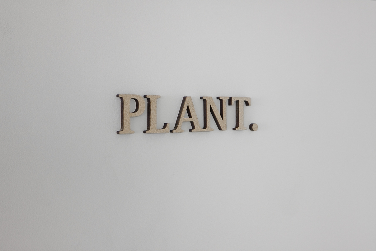 PLANT.-image6