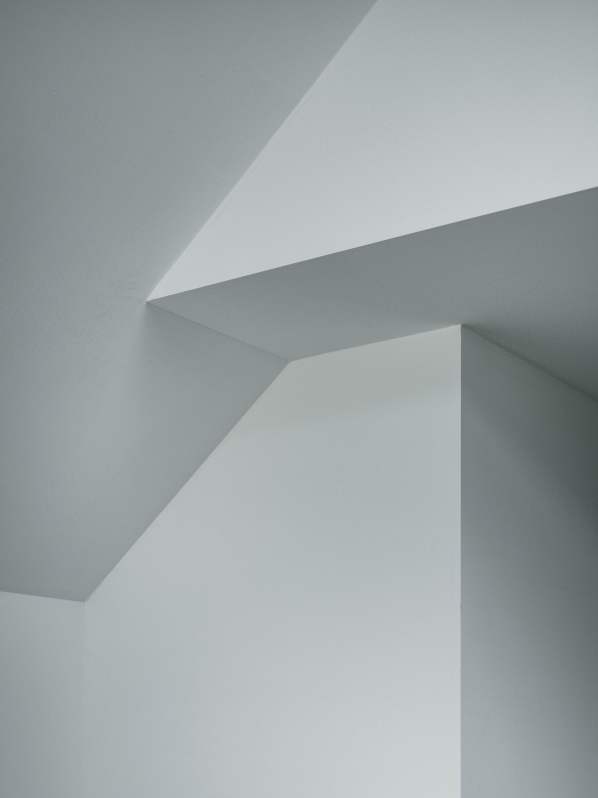 House in Shimokitazawa-image25